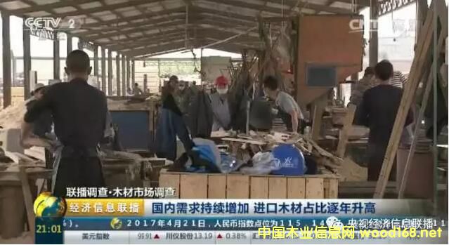 ��ҕľ���Ј��{�飺�M��ľ�Ĵ������ ľ���Q��������խ�ɡ����\