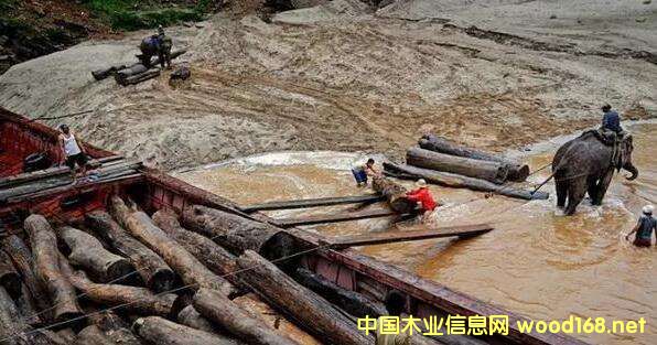 ľ�ĳ��ڇ�(y��n)�صĮ�(d��ng)�����ϓ���Ƿ��(hu��)�ɞ����������