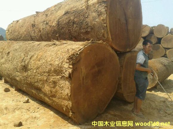 ľ�Y(ji��)��(g��u)����-����ľɏľ�ď�(qi��ng)�ȵȼ�(j��)�u(p��ng)��