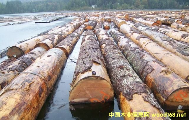 �����Fɼ�ͻ�����ԭľ�r�����m��λ�\��