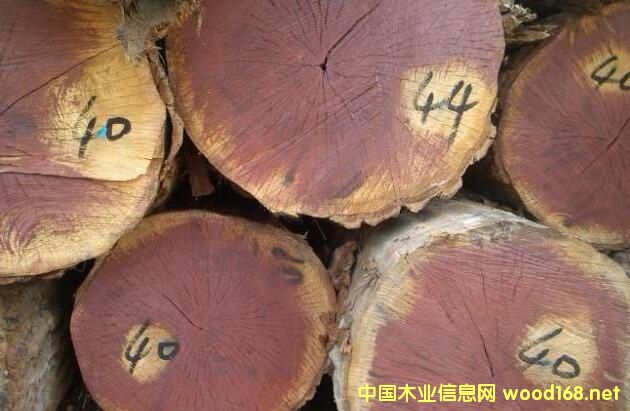 ľ�İٿƣ��鶼��˹�һ���ľ�ͷ����e�һ���ľ�ą^�e