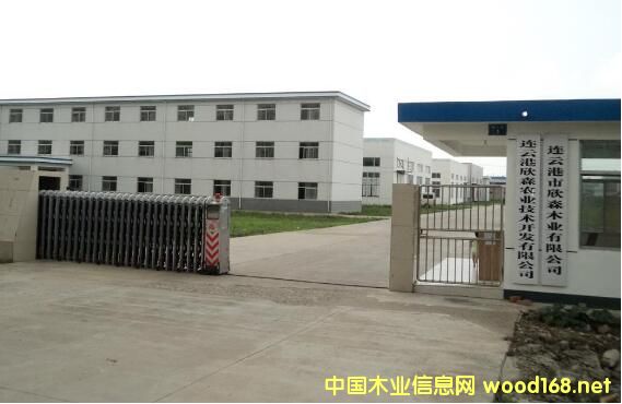 �B�Ƹ���ɭľ�I̓���������Y��3000�f ���˺͸����p�p��z