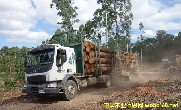 �������M������URUFOR���S---�����a��܇һ���Ԅӻ����a