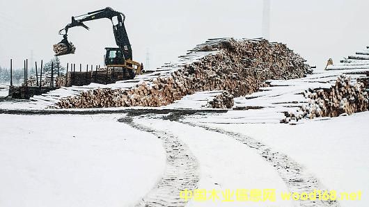 ߅������푵�һ����������Ӌ������ô��M��ľ������20%�P��