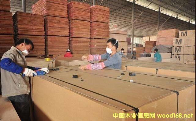 �V�������a�I��Ⱥ�����Ї�10�������a�I��Ⱥ