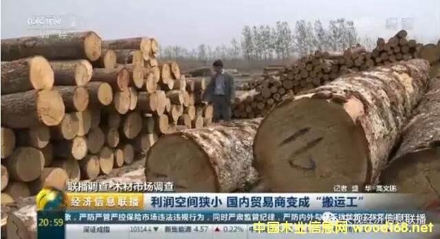 ��ҕľ���Ј��{�飺�M��ľ�Ĵ������ ľ���Q��������խ׃�ɡ���