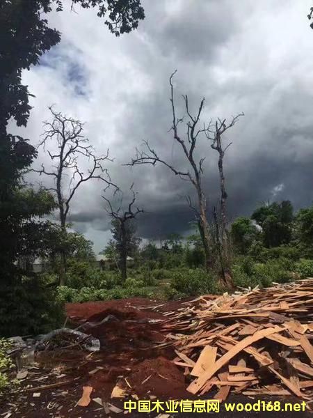 ���F�tľ���@�ﮔ(d��ng)���� һ�D��װ��f3