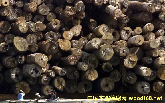 ���޼tľ����Խ��Խ�y��δ���Ј��Ͽ��ütľ߀ʣ���٣�