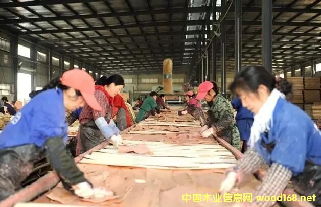 �����t�Aľ�I���a�N�����Ʉ���