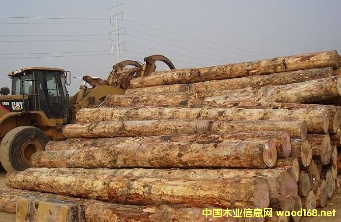 ���ȸۿ�ݗ����ԭľ�r���^�m����  �Ј��N�ۃr�������y���^��