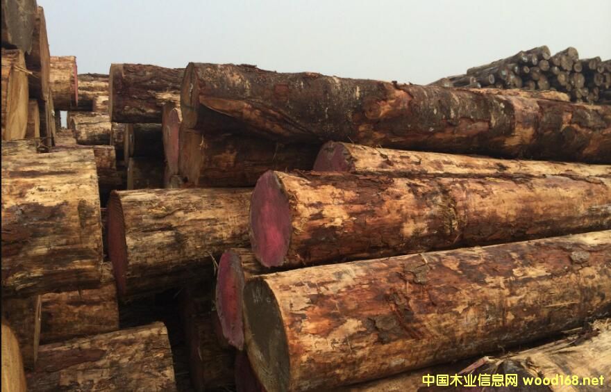 ���|�o�{׃ݗ���Ɏ��漱�������������_����؛ģʽ