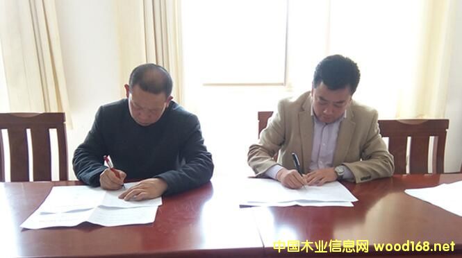 ɽ�|����ľ�I�����mɽ��ʢľ�I�����ƽ�ؿh�߶�ľ�I�a�I�@