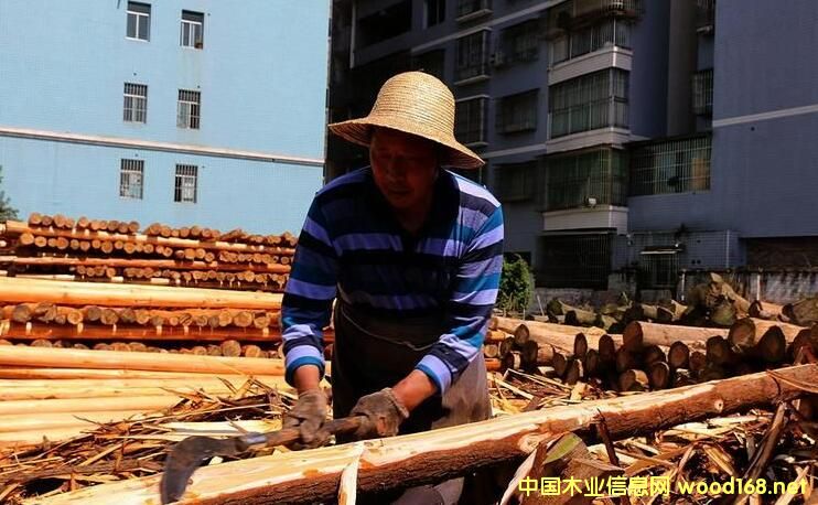 ��Ϫ���|ľ���ѳɞ���|�؅^���ľ�Ľ��I�Ј�