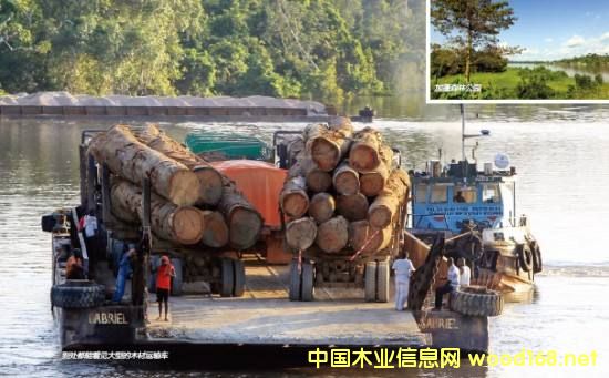 ���Hľ�Įa�I�@Ѳҕ֮---����FMC�Ҿ����a�N�ۼ�ɢ��