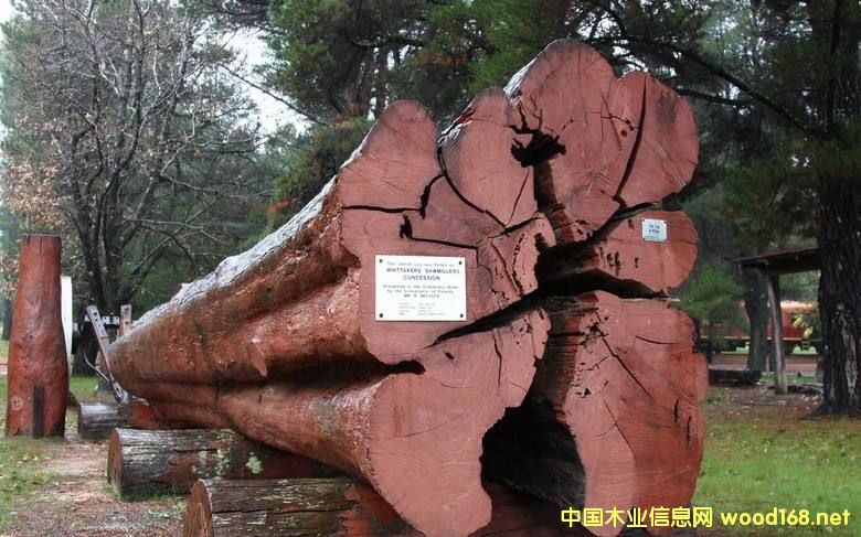 ľ�İٿƣ��Z��ľ�����񣩣��׷Q����Ѫ̴