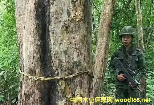 �����@80���F��˽��ľ��,�����ټӴ�����˽������