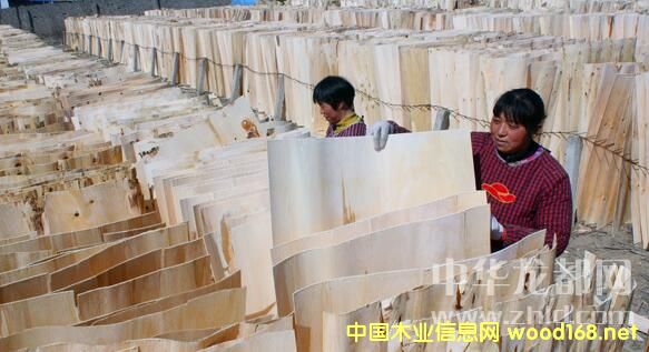 �(xi��ng)�������(zh��n)��(y��u)�|(zh��)��Ƥ���N���K��ɽ�|�����յ�ʡ