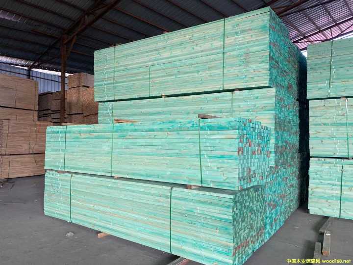 松木龍骨的詳細介紹