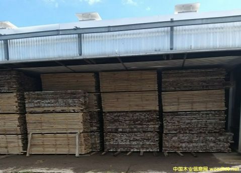  ���_˹��ľ��ɰ�