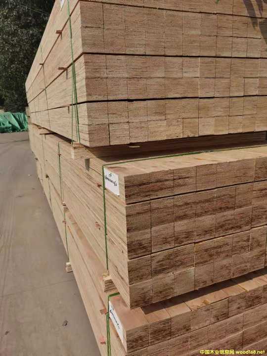 ���͙Cе���b����Ѭ��ľ��