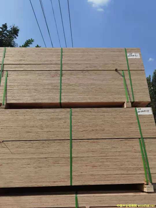 [��] �������b�䌣����Ѭ����ľLVL��l LVL�ӷe��ľ��