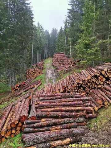 �W����ɼ��Ԕ��(x��)��B