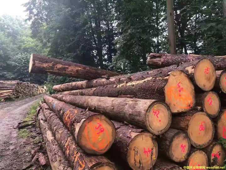 [��] ����ɼԭľ��؛