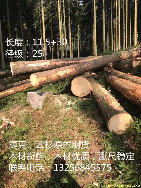 �ݿ���ɼԭľ��؛