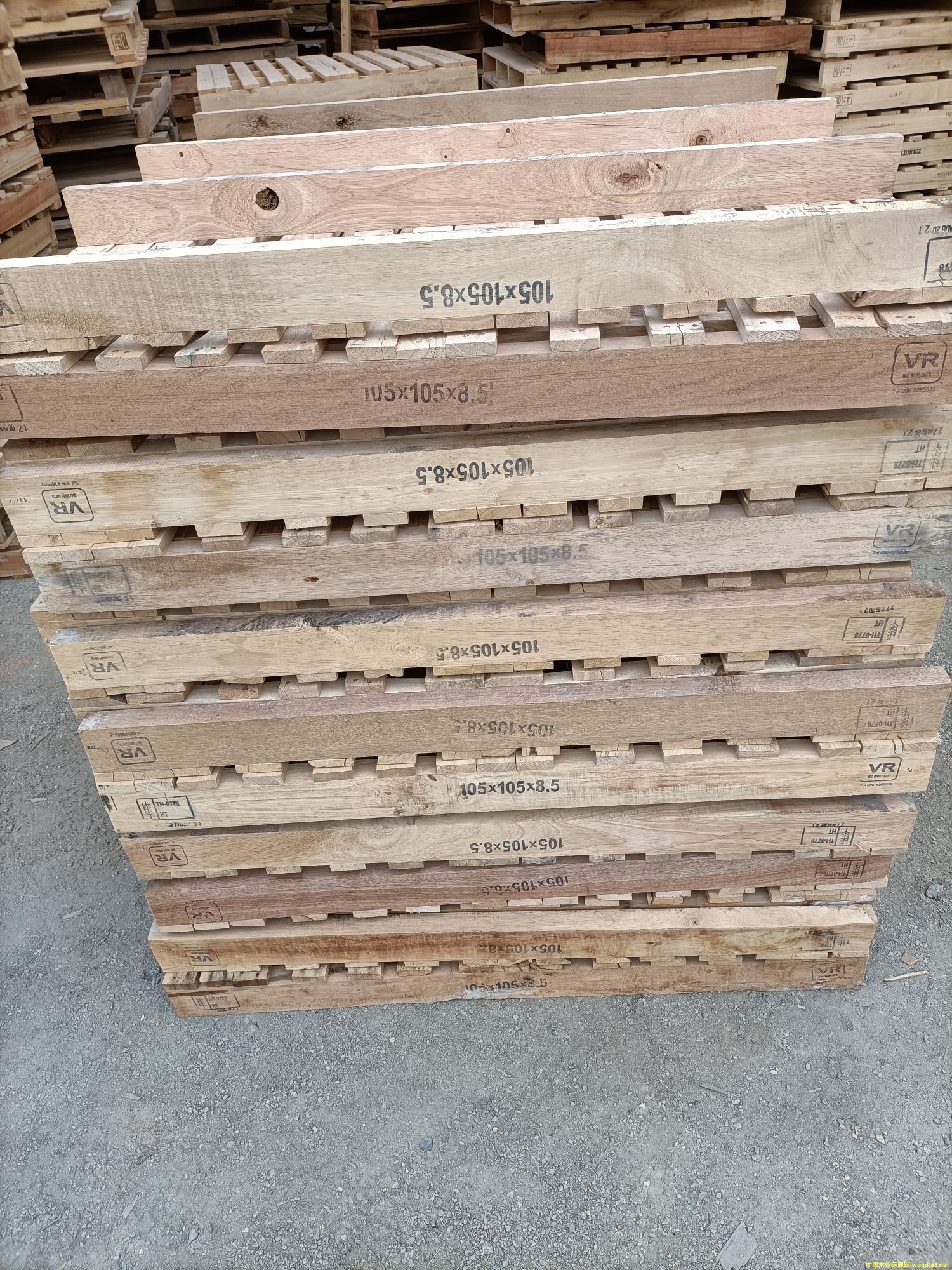 �����M���бP