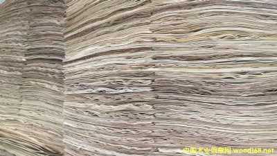  �M�����zľ���Іΰ��Ԕ����B