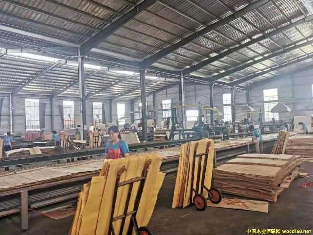 的詳細(xì)介紹