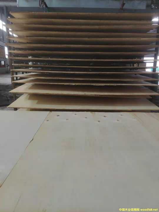 的詳細(xì)介紹