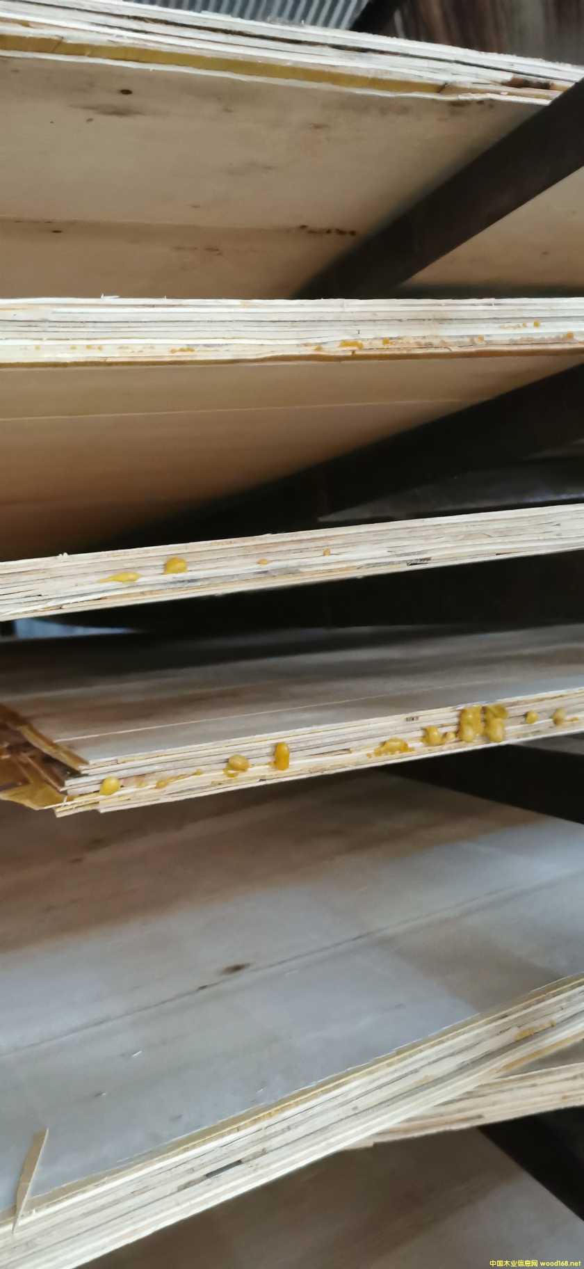  ��Ԕ��(x��)��B