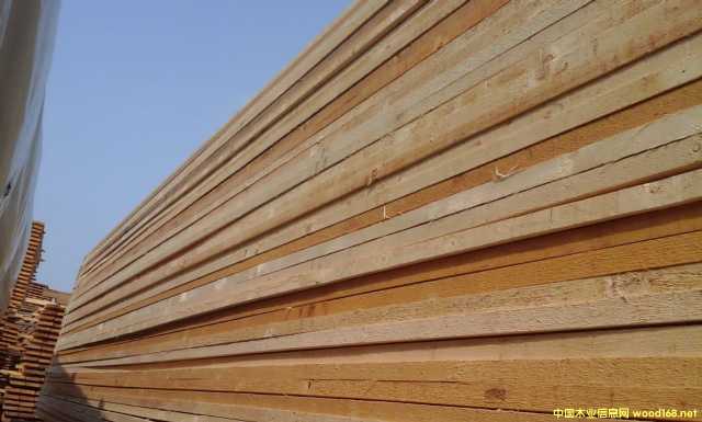 �����ּ���~䏲ģ���ľ)���tľ�����ڹ���