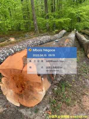 �c���鿴�W��ɽë�ηŴ�DƬ