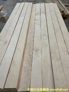 ��ľ��� �ΰ�