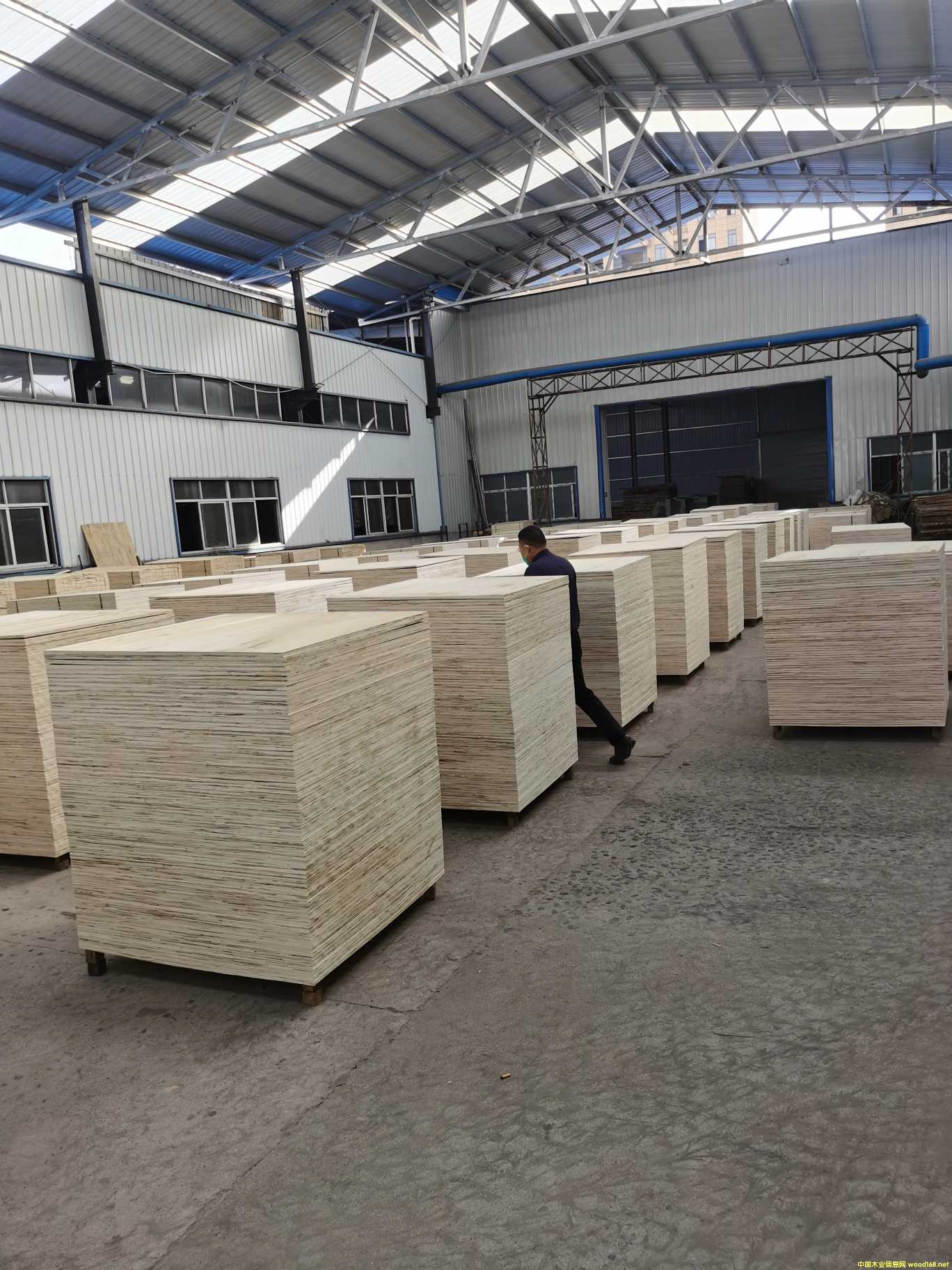 [��] �z�ϰ������b�����бP�ϣ����Ͱ���LVL���l