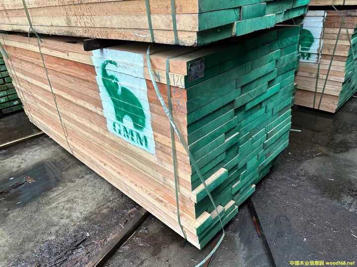 安東的詳細介紹