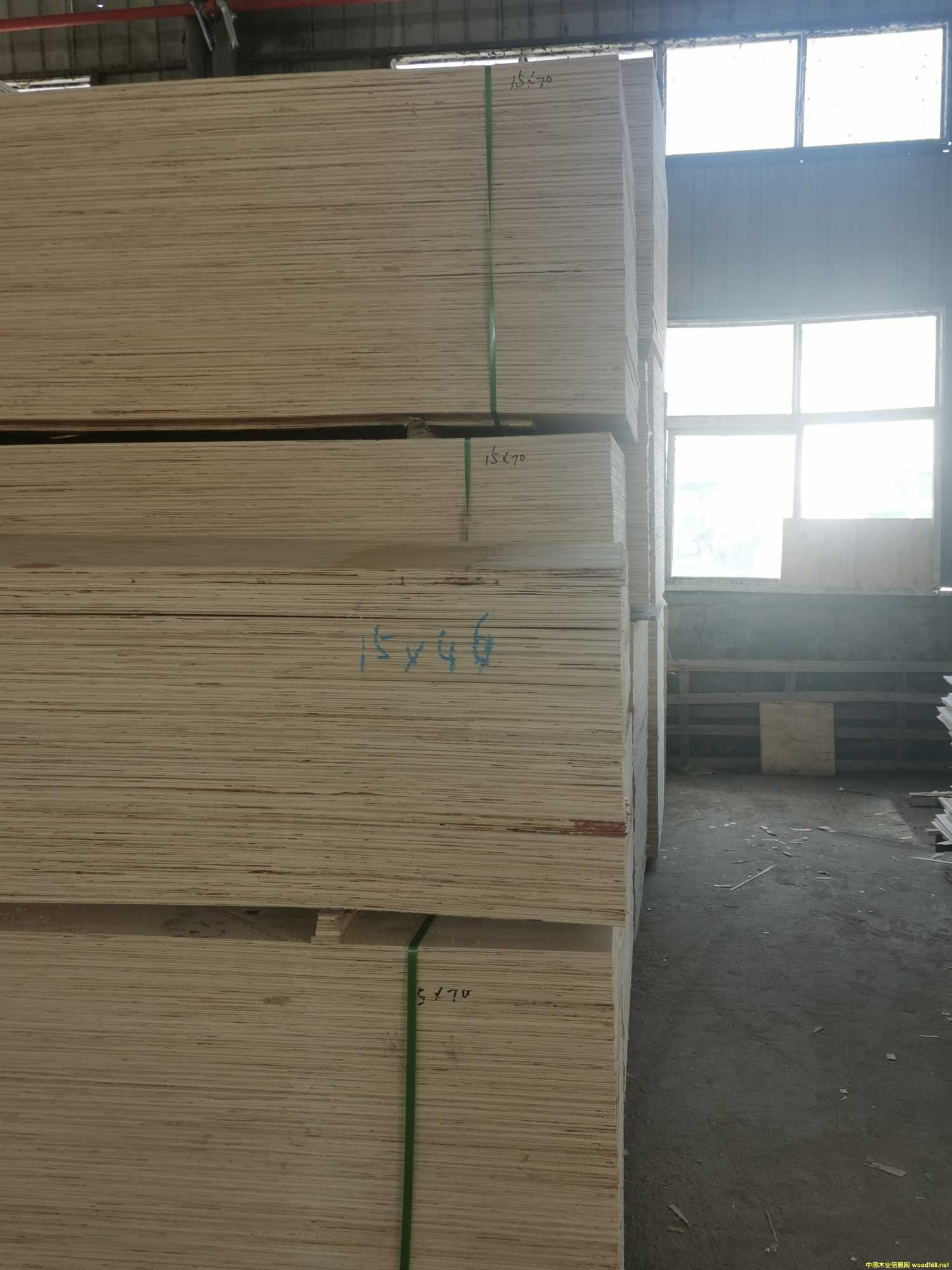 CARBP2��E1��E2 ��ľʮ����� ɳ�l�� �ɶ���