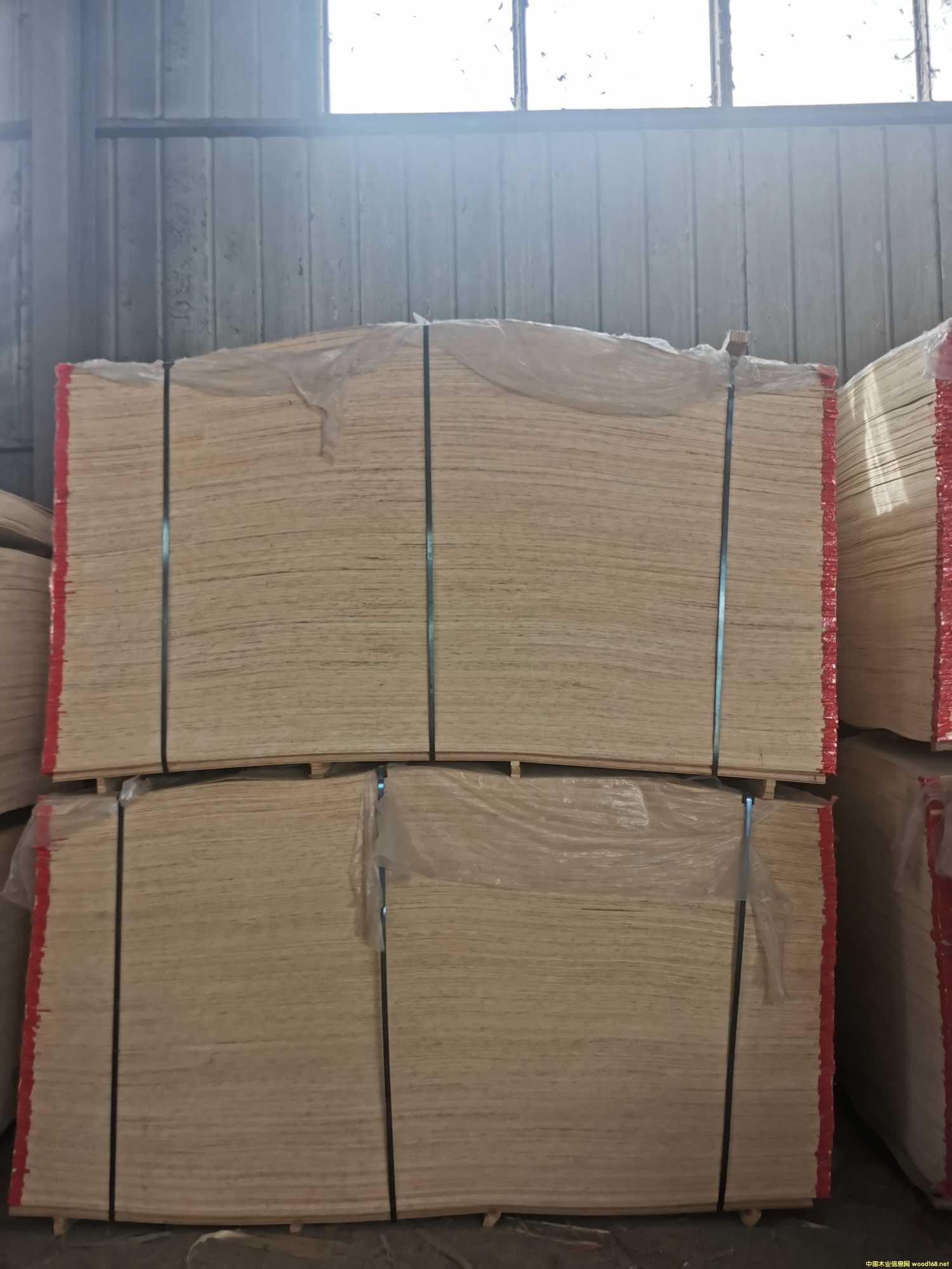 CARBP2��E1��E2 ��ľ ����� ɳ�l(f��)��