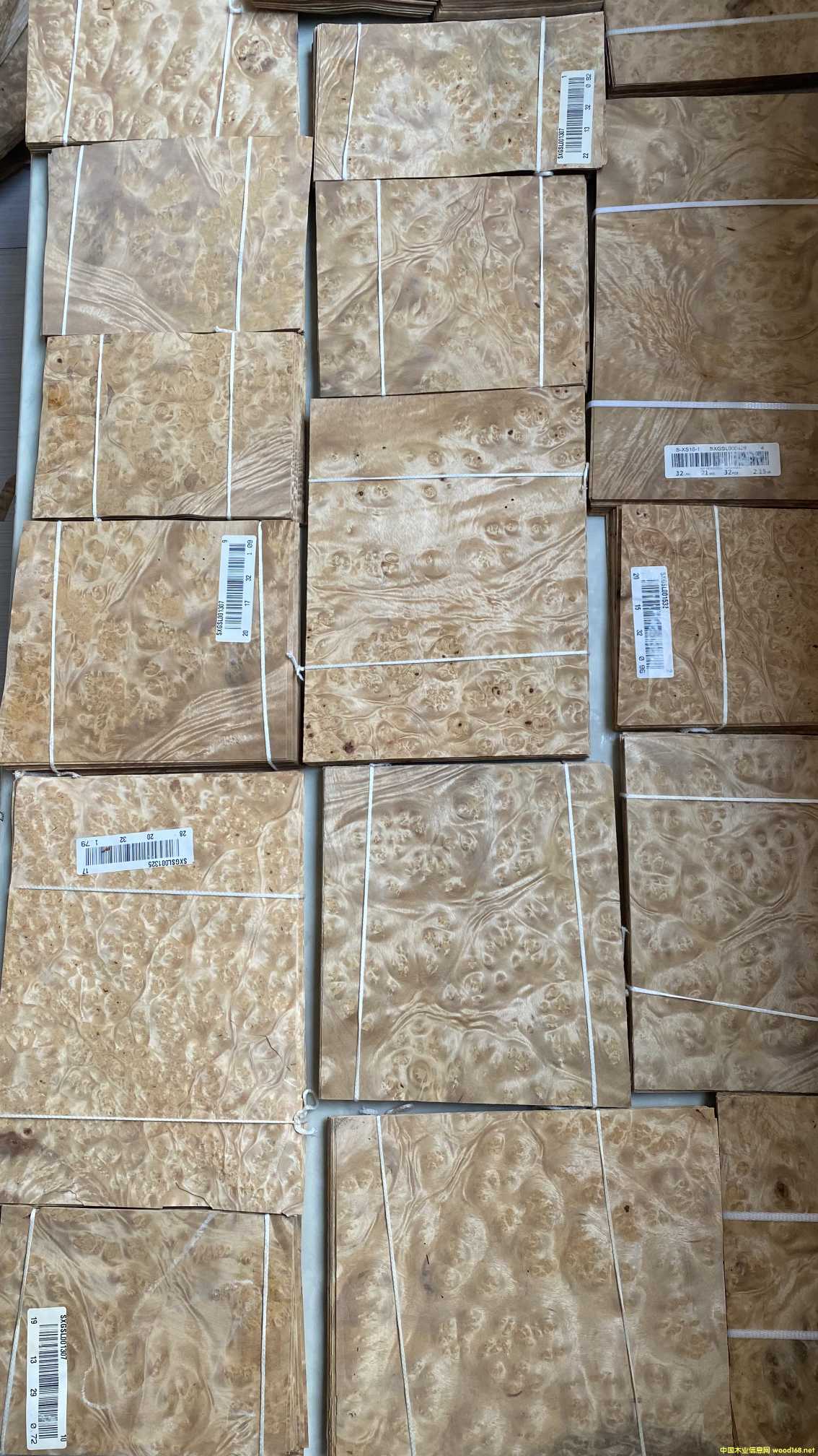 0.5mmɽ�������ľƤ