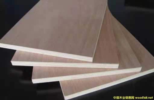 ����ľ�Ҿ߶��Ӱ�