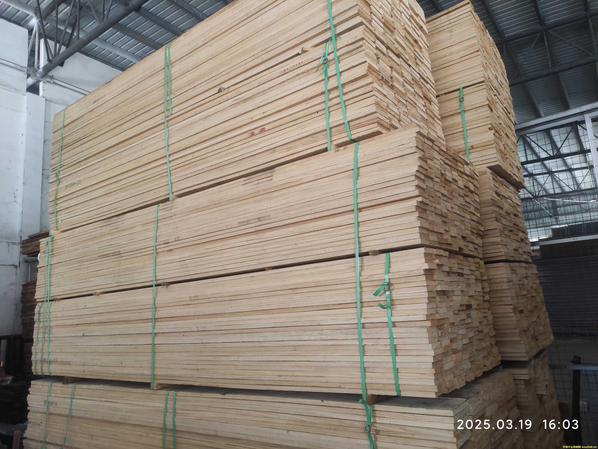 ����͢�o����