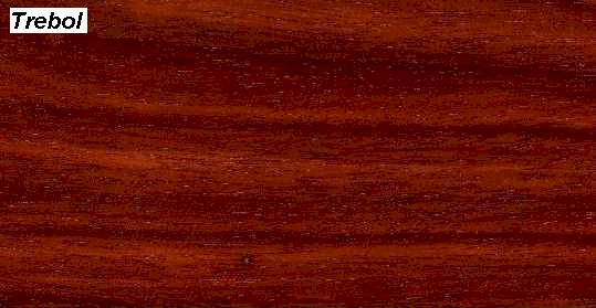 Trebol��Ԕ����B