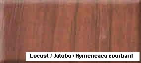 Locust / Jatoba��Ԕ����B