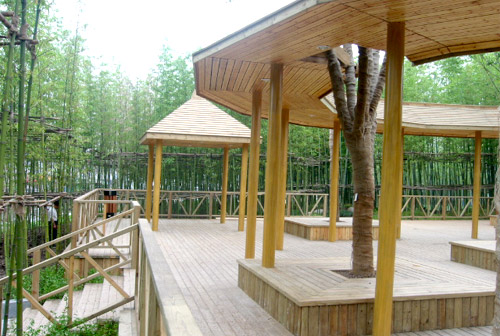 �P˼����m�������ľ��Ԕ����B