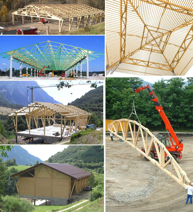 Araineľ�ݼܣ����