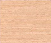 ��ľ��ľ�����Ԕ����B