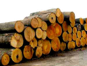 ԭ���sľ�ĵ�Ԕ��(x��)��B