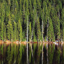 ԭɼľ�ĵ�Ԕ��(x��)��B